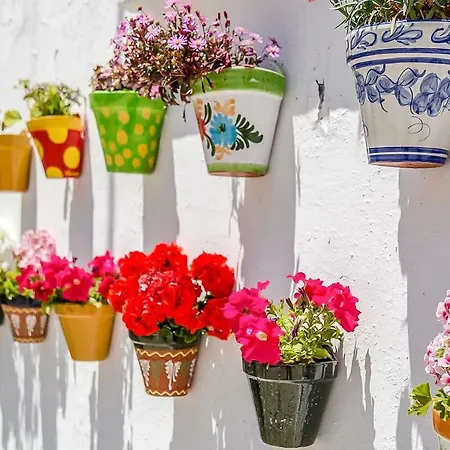 Lovely Spanish Cultural House * 산미겔데아보나